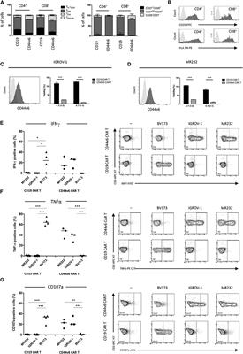 CAR T Cells Redirected to CD44v6 Control Tumor Growth in Lung and Ovary Adenocarcinoma Bearing Mice